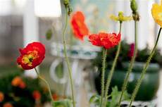 Jewelry For Coctails